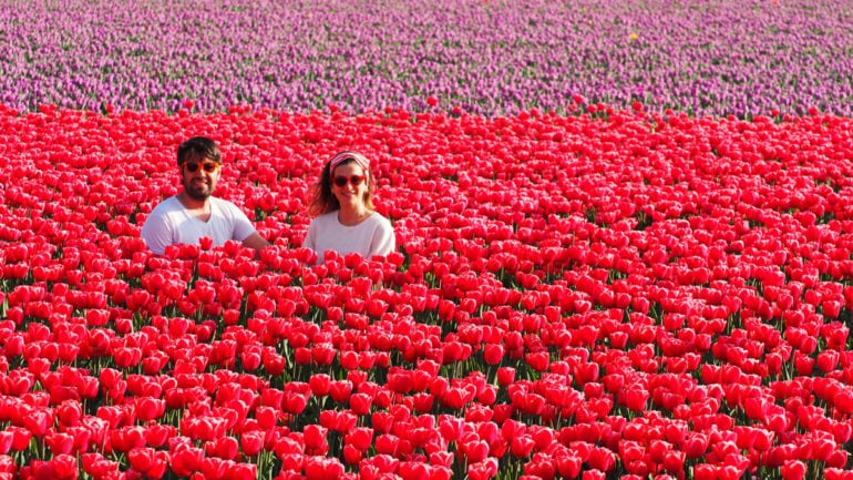 KEUKENHOF & LALELER & ÇİÇEK ROTASI – HOLLANDA