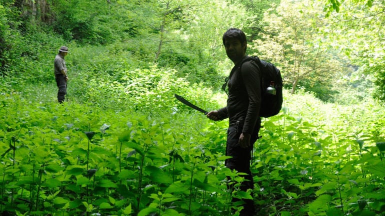 DOĞADA HAYATTA KALMA EĞİTİMİ – ISSIZ ADA, SEN Mİ BÜYÜKSÜN, BİZ Mİ?