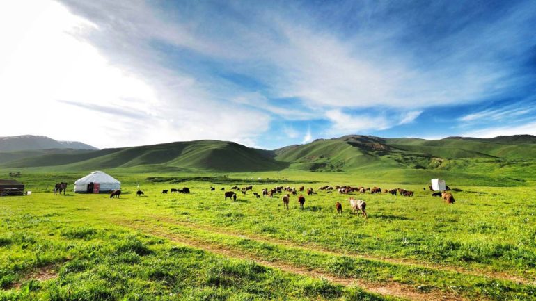 KIRGIZİSTAN’DA YAŞAM & KIRGIZ GELENEKLERİ