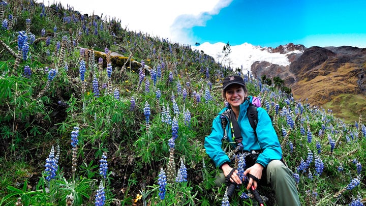 Salkantay-trek-cicekler